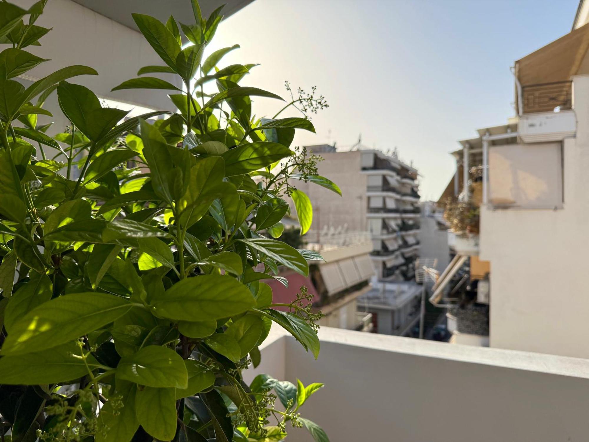 P&P Boutique Apartments أثينا المظهر الخارجي الصورة