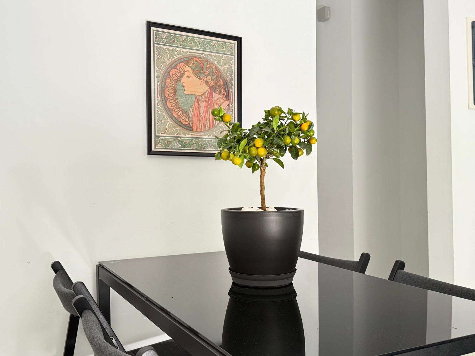P&P Boutique Apartments أثينا المظهر الخارجي الصورة